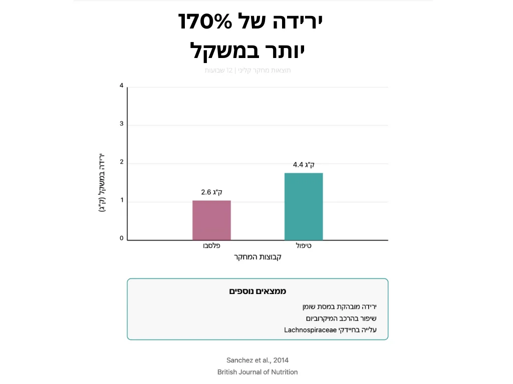 ירידה במשקל - פרוביוטיקה